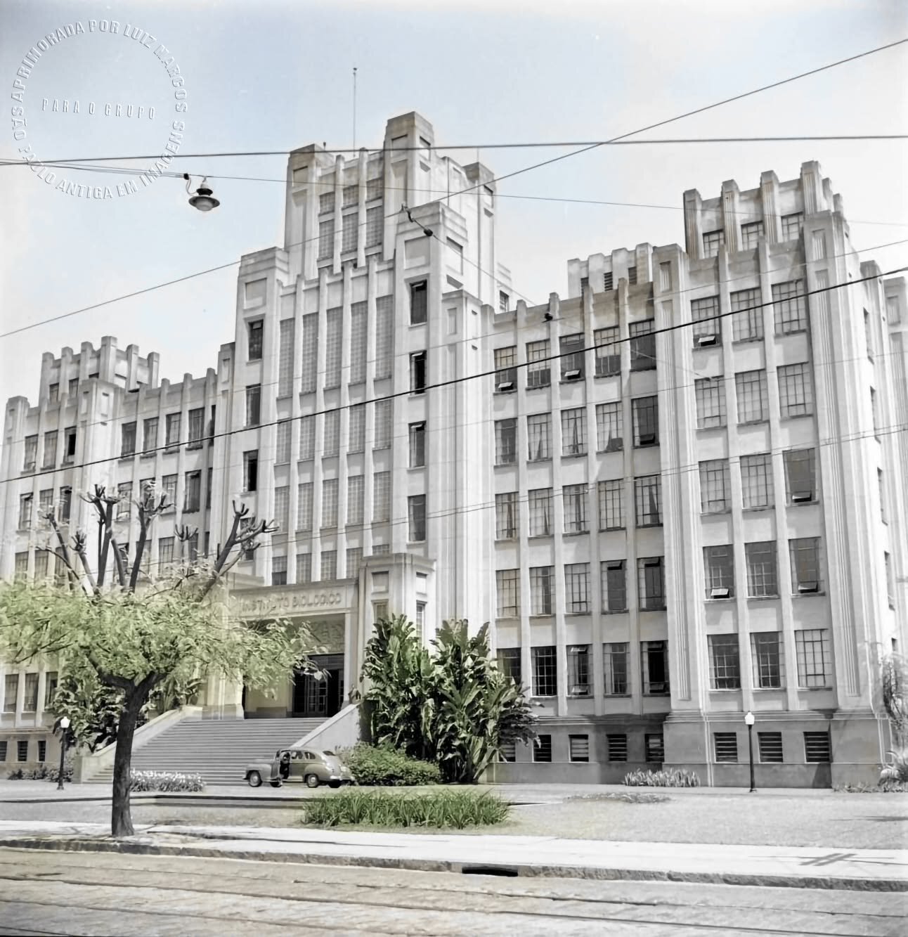 Instituto Biológico - 1949