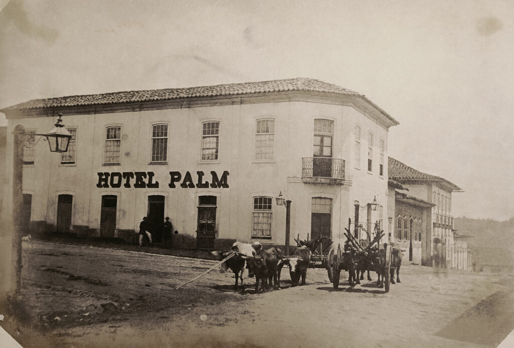 Hotel Palm -1862
