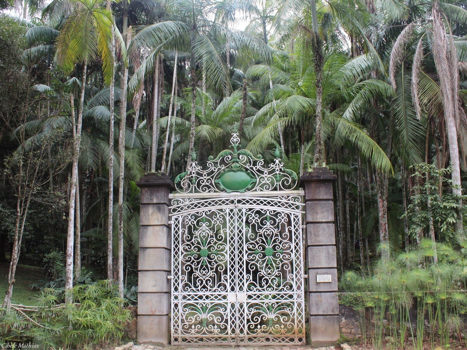 Portão Histórico Jardim Botânico - 2014